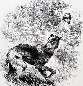Un cazador furtivo con su galgo de Charles Whymper