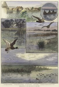 Caza de patos en Long Point Island de Charles Whymper