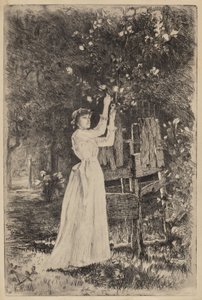 Sin título (Mujer recogiendo flores)