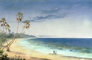 Paisaje cubano, 1866 de Charles de Wolfe Brownell