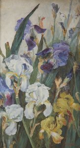 Iris, 1882 de Charlotte Hodder