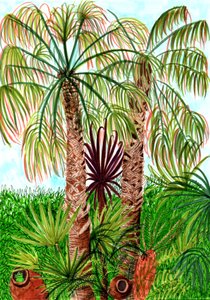 Palmeras de Barcelona, 2017 de Charlotte Orr