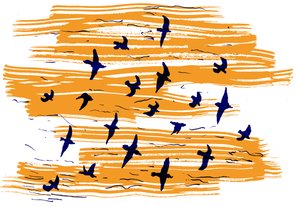 Pájaros volando, 2020 de Charlotte Orr