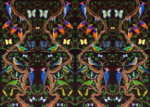 Aves y mariposas, 2019 de Charlotte Orr