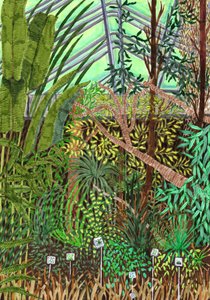 Jardín Botánico