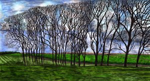 Cushendun, Irlanda del Norte, 2020 de Charlotte Orr