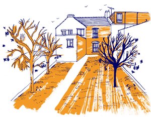 Jardín, 2020 de Charlotte Orr