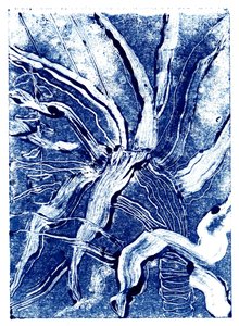 Plantas Tintas no.2, 2019 de Charlotte Orr