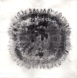 Células vegetales, 2019 de Charlotte Orr