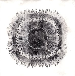 Células Vegetales, 2019 de Charlotte Orr