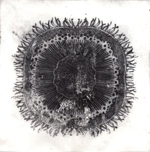Células Vegetales, 2019 de Charlotte Orr