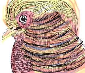 Pájaro tropical, 2018 de Charlotte Orr