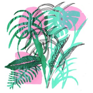 Plantas tropicales, 2018 de Charlotte Orr