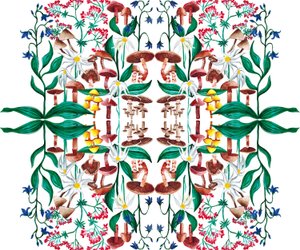 Plantas Silvestres, 2015 de Charlotte Orr