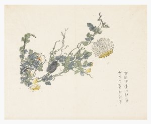 Jardín de semillas de mostaza de Chen Chung Jan (after)