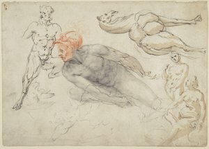Estudios de desnudos masculinos y femeninos, un sátiro y un camello (anverso); estatua de Marco Aurelio (reverso) de Cherubino Alberti