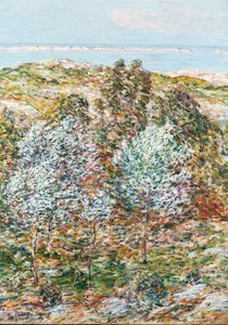 Visión de la primavera