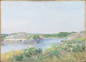 El pequeño estanque, Appledore