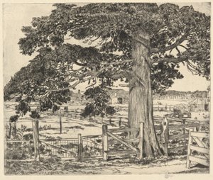 Big Cedar, Wainscott, LI, 1929 de Childe Hassam