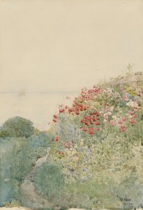 Campo de amapolas, Isles of Shoals