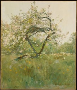Flores de durazno—Villiers-le-Bel