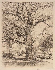 Wayside Inn Oaks en primavera de Childe Hassam