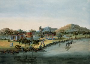 Escena de jardín, c.1820-40 de Chinese School