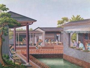 Clasificación del Té de Chinese School