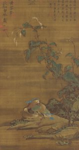Patos mandarines bajo smartweed, dinastía Ming o Qing, siglo XV-XVIII