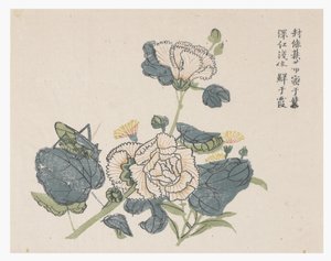 Jardín de semillas de mostaza de Chinese School