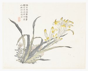 Jardín de Semillas de Mostaza de Chinese School