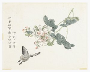 Jardín de Semillas de Mostaza de Chinese School