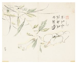 Jardín de Semillas de Mostaza de Chinese School