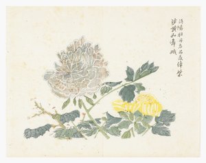 Jardín de Semillas de Mostaza de Chinese School