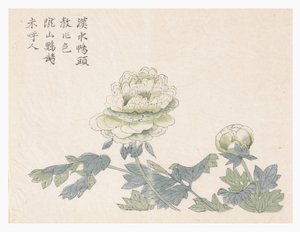 Jardín de Semillas de Mostaza de Chinese School