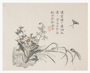 Jardín de Semillas de Mostaza de Chinese School