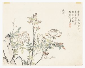 Jardín de semillas de mostaza de Chinese School