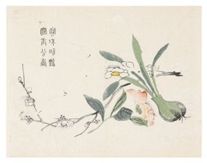 Jardín de semillas de mostaza de Chinese School