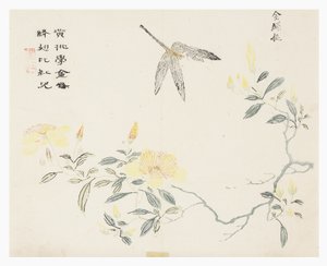 Jardín de semillas de mostaza de Chinese School
