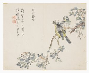 Jardín de semillas de mostaza de Chinese School