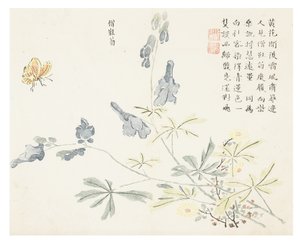 Jardín de semillas de mostaza de Chinese School