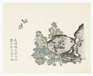 Jardín de semillas de mostaza de Chinese School