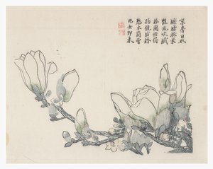 Jardín de semillas de mostaza de Chinese School