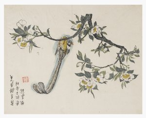 Jardín de semillas de mostaza de Chinese School