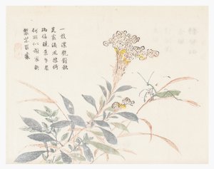 Jardín de la semilla de mostaza de Chinese School