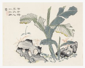 Jardín de la semilla de mostaza de Chinese School