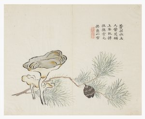 Jardín de la semilla de mostaza de Chinese School
