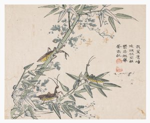Jardín de la semilla de mostaza de Chinese School