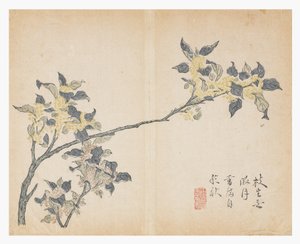 Jardín de la Semilla de Mostaza de Chinese School