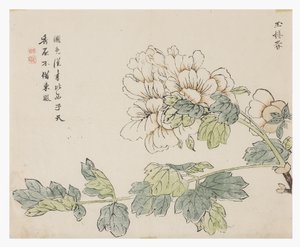 Jardín de la Semilla de Mostaza de Chinese School